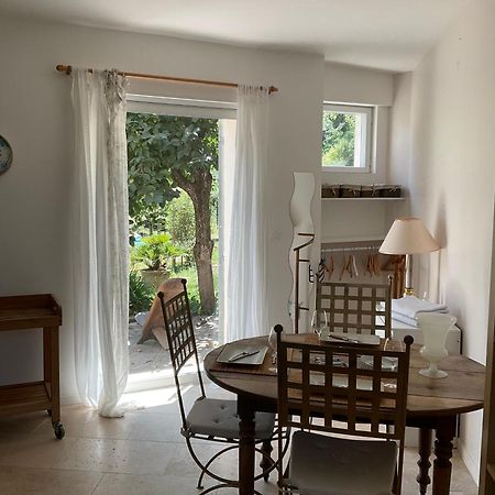 Studio Lumineux Villeneuve-lès-Avignon Eksteriør bilde